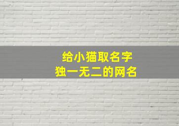 给小猫取名字独一无二的网名