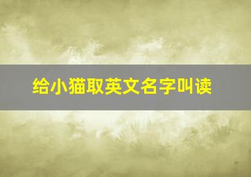 给小猫取英文名字叫读