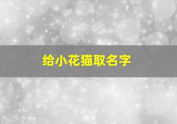 给小花猫取名字