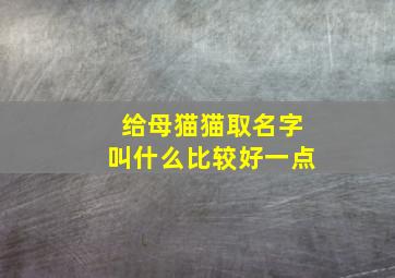 给母猫猫取名字叫什么比较好一点