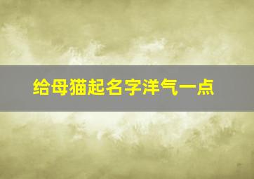 给母猫起名字洋气一点