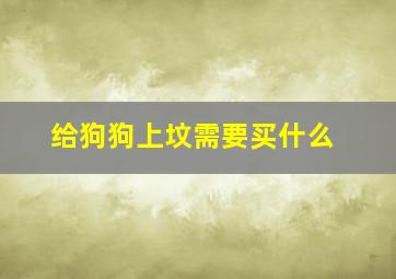 给狗狗上坟需要买什么