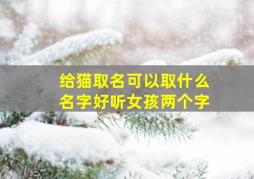 给猫取名可以取什么名字好听女孩两个字