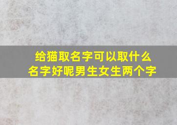 给猫取名字可以取什么名字好呢男生女生两个字