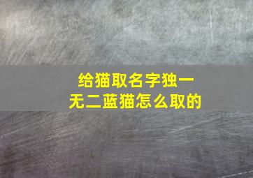 给猫取名字独一无二蓝猫怎么取的