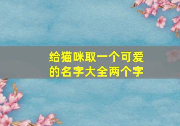 给猫咪取一个可爱的名字大全两个字