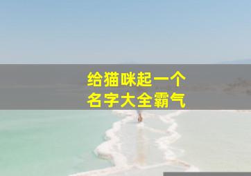 给猫咪起一个名字大全霸气