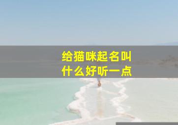 给猫咪起名叫什么好听一点