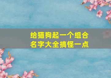 给猫狗起一个组合名字大全搞怪一点