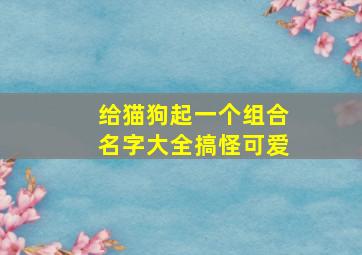 给猫狗起一个组合名字大全搞怪可爱