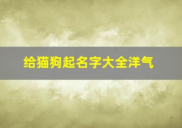 给猫狗起名字大全洋气