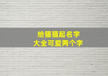 给猫猫起名字大全可爱两个字