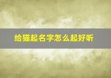 给猫起名字怎么起好听