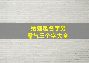 给猫起名字男霸气三个字大全