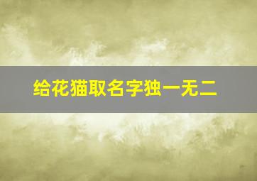 给花猫取名字独一无二