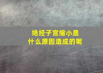 绝经子宫缩小是什么原因造成的呢