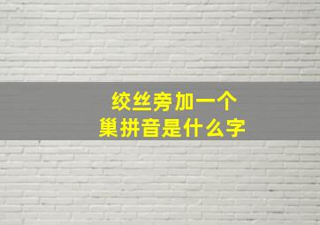 绞丝旁加一个巢拼音是什么字