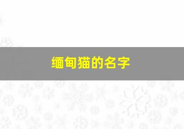 缅甸猫的名字