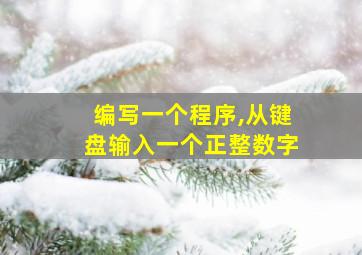 编写一个程序,从键盘输入一个正整数字