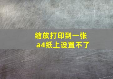 缩放打印到一张a4纸上设置不了