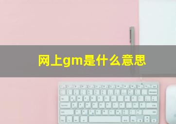 网上gm是什么意思