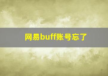 网易buff账号忘了