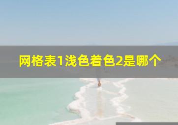 网格表1浅色着色2是哪个