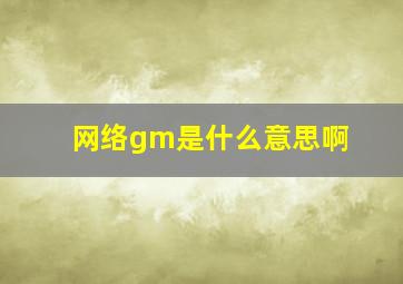 网络gm是什么意思啊