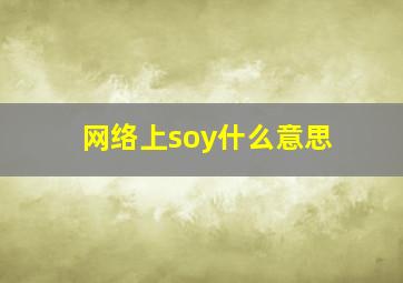 网络上soy什么意思