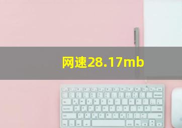 网速28.17mb