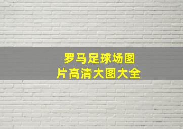 罗马足球场图片高清大图大全