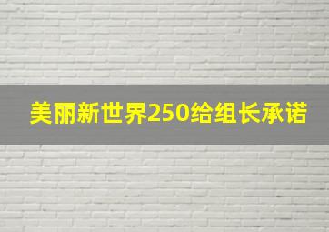 美丽新世界250给组长承诺