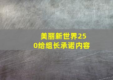 美丽新世界250给组长承诺内容