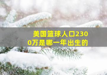 美国篮球人口2300万是哪一年出生的