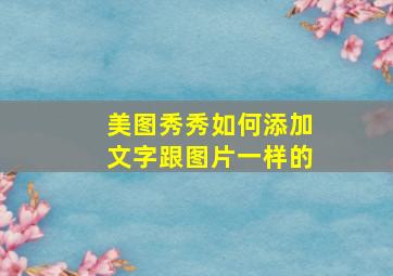 美图秀秀如何添加文字跟图片一样的