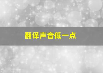 翻译声音低一点