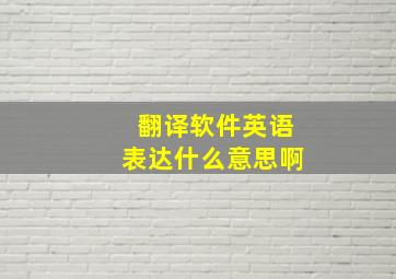 翻译软件英语表达什么意思啊