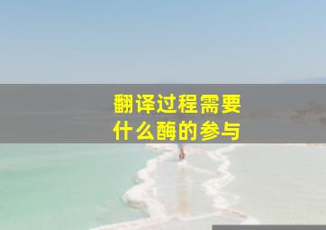 翻译过程需要什么酶的参与