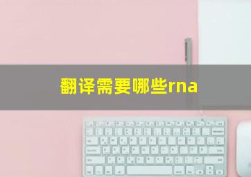 翻译需要哪些rna