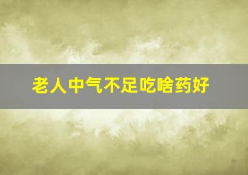 老人中气不足吃啥药好