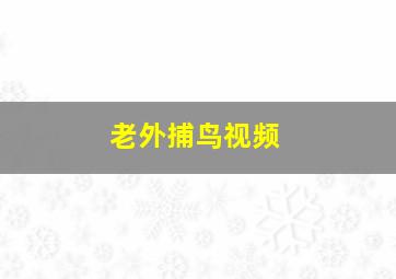 老外捕鸟视频