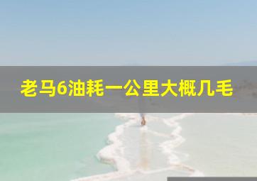 老马6油耗一公里大概几毛