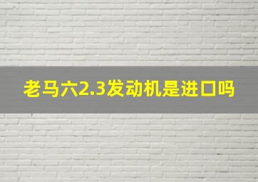 老马六2.3发动机是进口吗