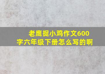 老鹰捉小鸡作文600字六年级下册怎么写的啊