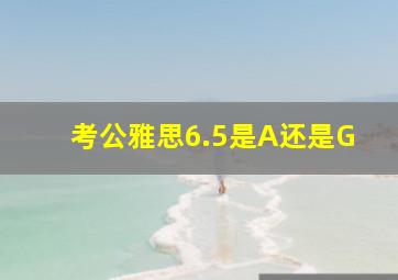 考公雅思6.5是A还是G