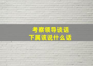 考察领导谈话下属该说什么话