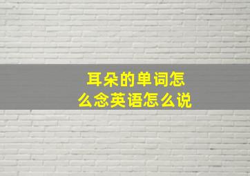 耳朵的单词怎么念英语怎么说