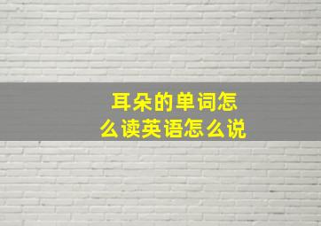 耳朵的单词怎么读英语怎么说