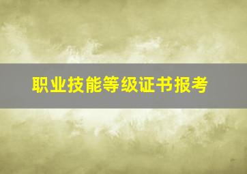 职业技能等级证书报考