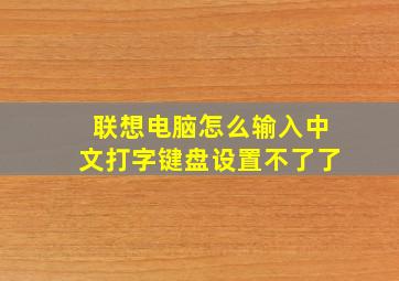 联想电脑怎么输入中文打字键盘设置不了了